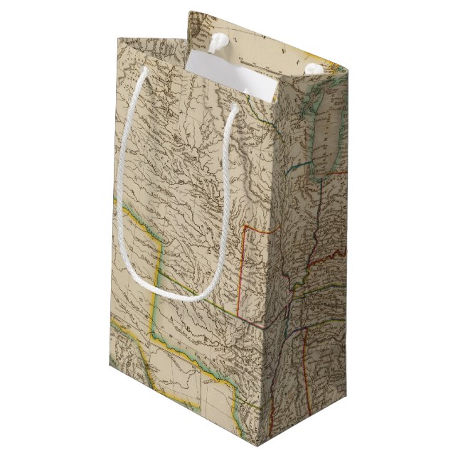 Petit Sac Cadeau Les Etats-Unis 12 (Dos Angle)