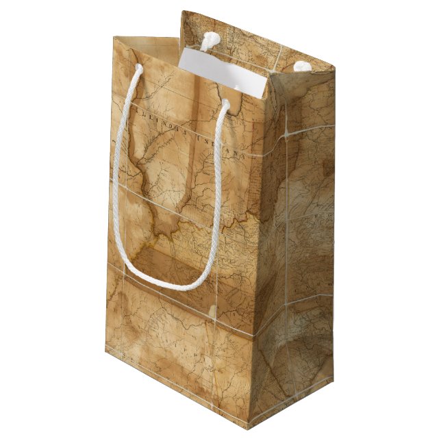 Petit Sac Cadeau Les Etats-Unis 39 (Dos Angle)