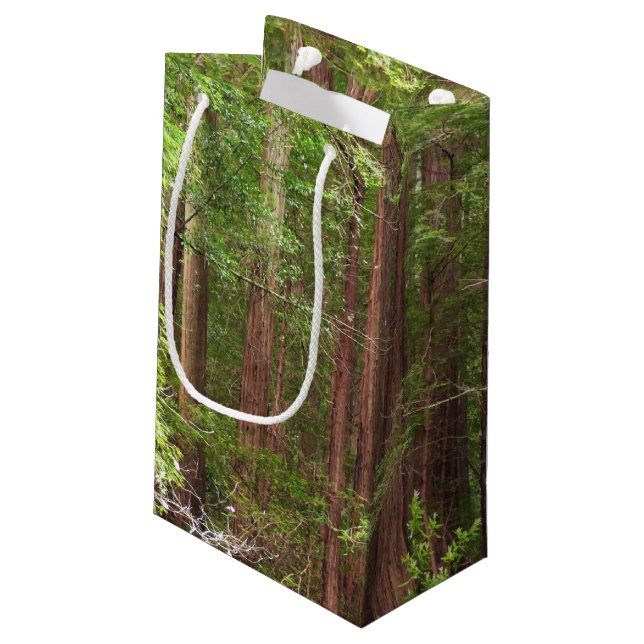 Petit Sac Cadeau Les séquoias au monument national de Muir Woods (Dos Angle)