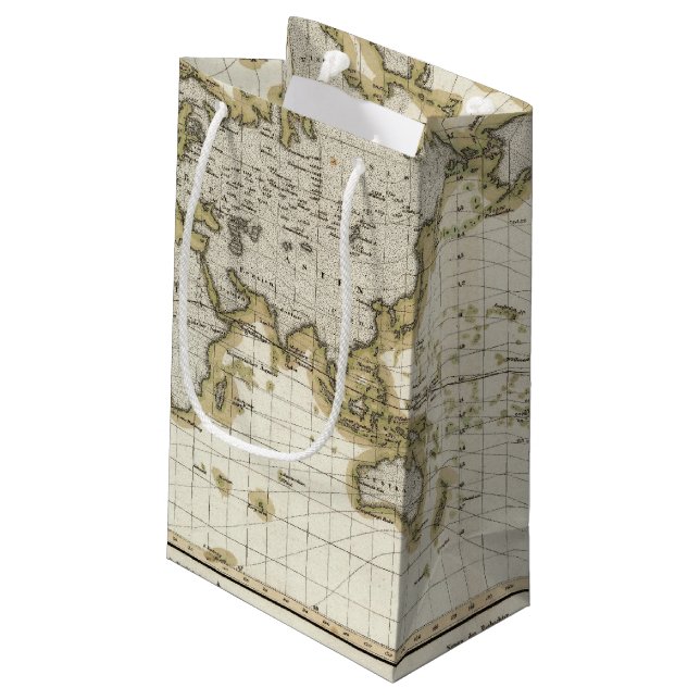 Petit Sac Cadeau lignes isodynamiques de présentation (Dos Angle)