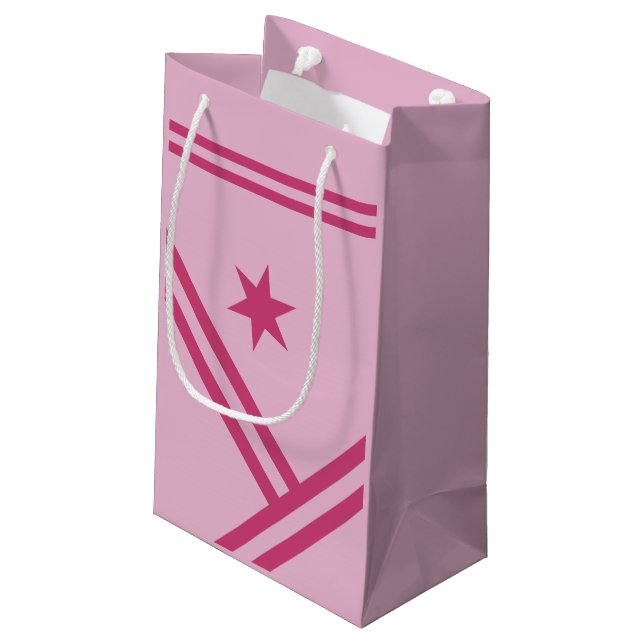 Petit Sac Cadeau Lilac Pink Diagonal Stripes Star Graphisme Moderne (Dos Angle)