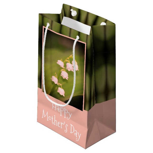 Petit Sac Cadeau Lily Du Concepteur De Vallée (Devant Angle)