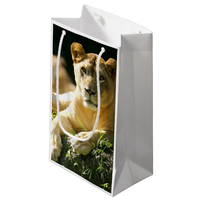 Petit Sac Cadeau Lions (Devant Angle)