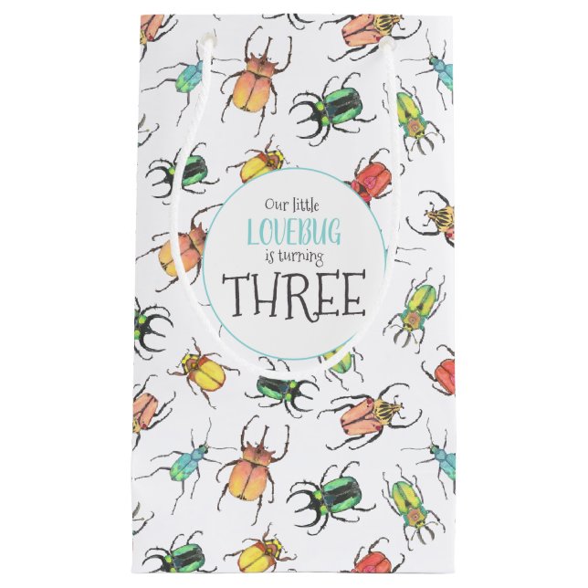 Petit Sac Cadeau Love Bugs Aquarelle Beetles avec Coeurs Moyen Gi (Devant)