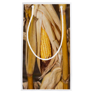 Petit Sac Cadeau Maïs Cobb sur la tige
