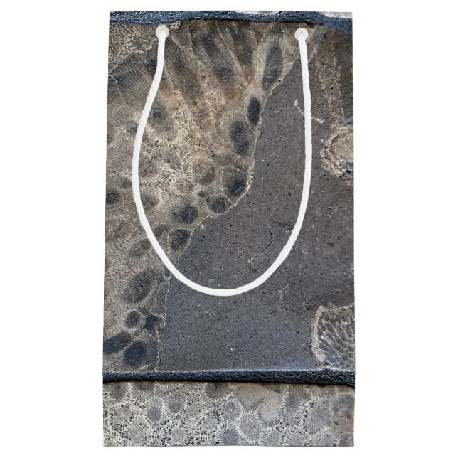 Petit Sac Cadeau Motif Petoskey Stone (Devant)