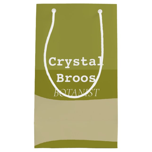 Petit Sac Cadeau Motif vert olive et brun (Devant)