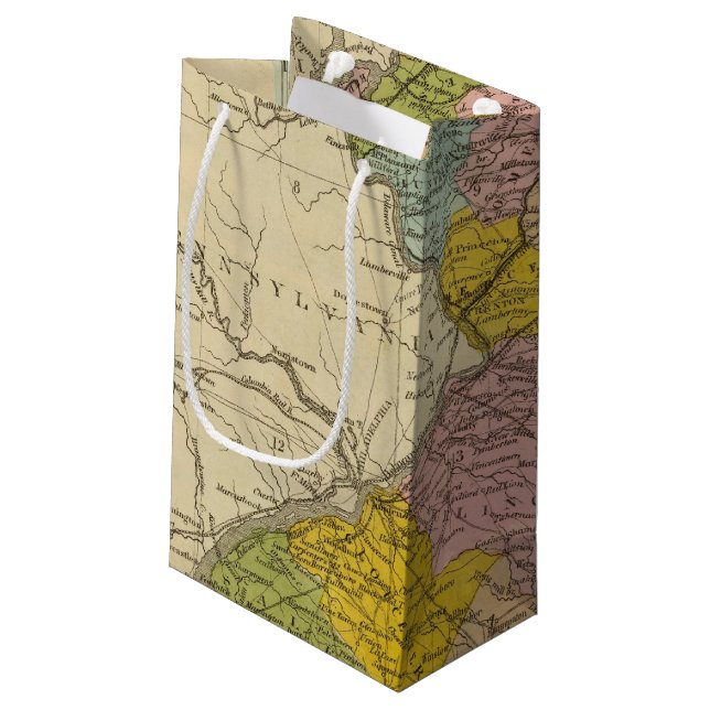 Petit Sac Cadeau New Jersey 5 2 (Dos Angle)