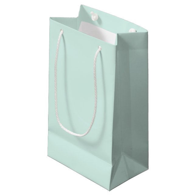 Petit Sac Cadeau Nuage de Menthe (Devant Angle)