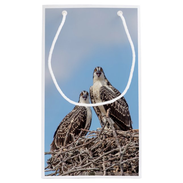 Petit Sac Cadeau Osprey juvénile dans le nid (Dos)