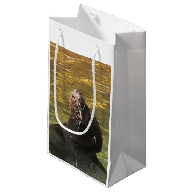 Petit Sac Cadeau Otarie (Devant Angle)
