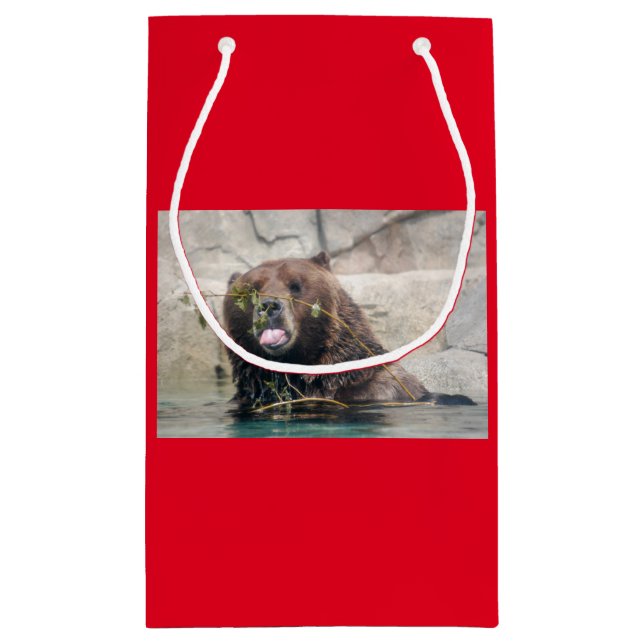 Petit Sac Cadeau Ours grizzli dans l'eau (Dos)