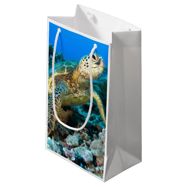 Petit Sac Cadeau Paires de tortue (Devant Angle)