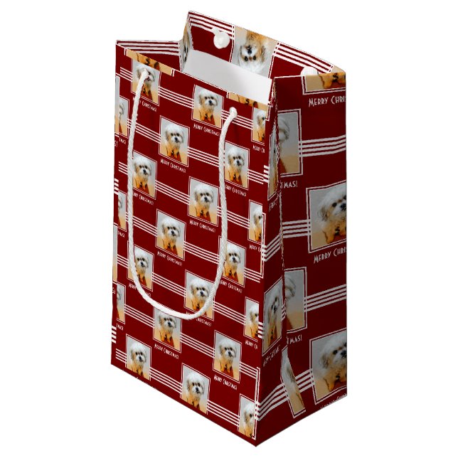 Petit Sac Cadeau Papier mouchoir Malshi (Devant Angle)