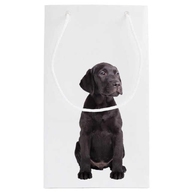 Petit Sac Cadeau petit chiot mignon de labrador retriever (Dos)