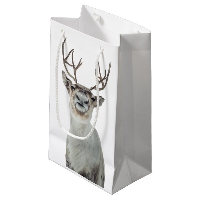 Petit Sac Cadeau Photo Reindeer (Devant Angle)