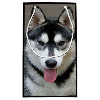 Petit Sac Cadeau Photographie de chien de Malamute d'Alaska