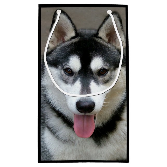 Petit Sac Cadeau Photographie de chien de Malamute d'Alaska (Dos)