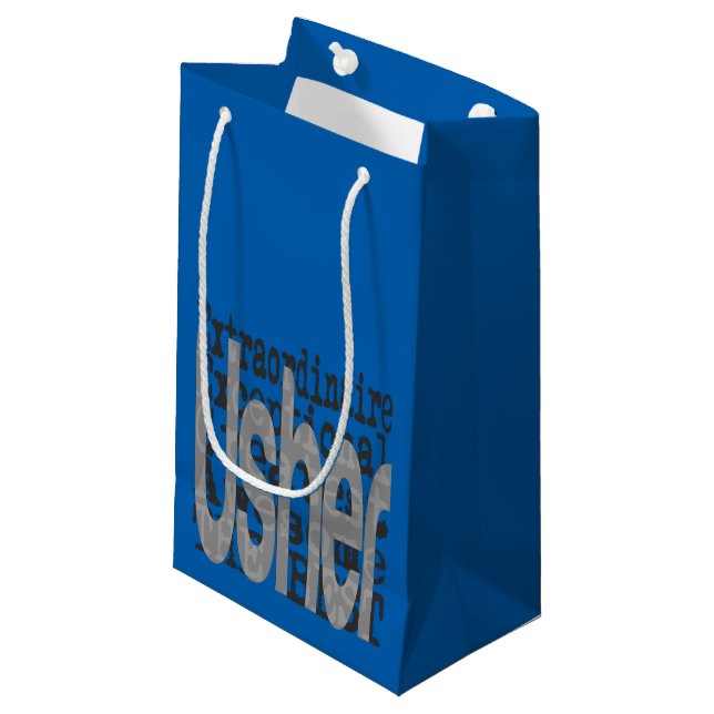 Petit Sac Cadeau Placeur Extraordinaire (Devant Angle)