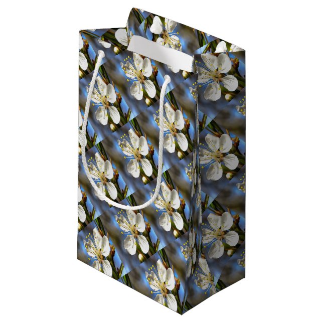 Petit Sac Cadeau Plum Blossom Art Botanique (Devant Angle)