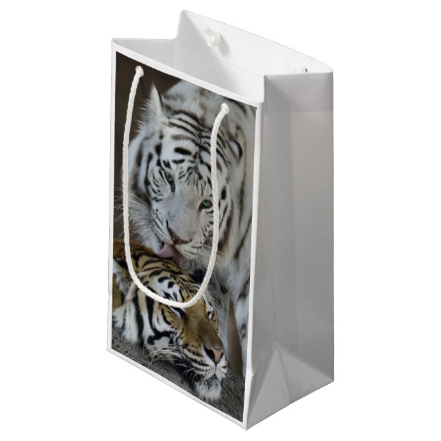 Petit Sac Cadeau Repos blanc et Brown de tigres (Devant Angle)