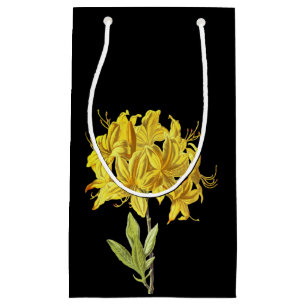 Petit Sac Cadeau Rhododendron luteum (Azalée Pontique)