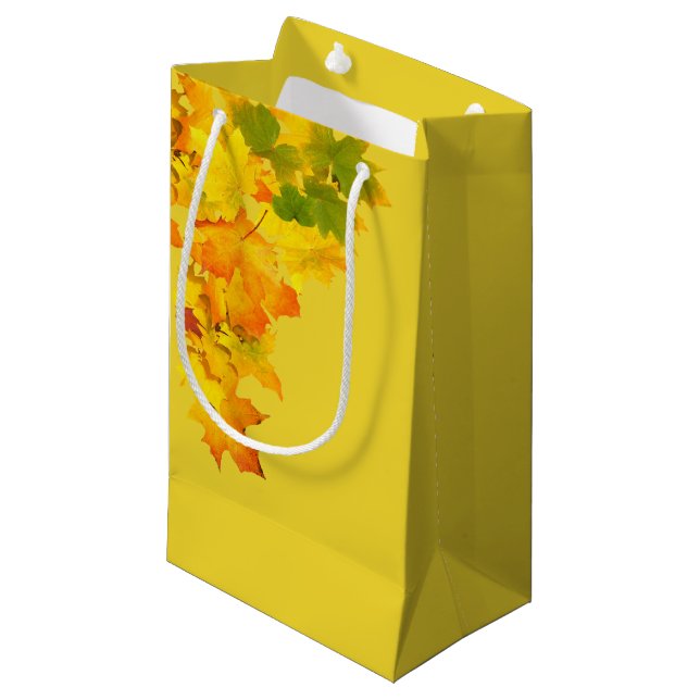 Petit Sac Cadeau Sacs-cadeaux de lory (Devant Angle)