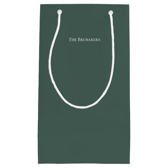 Petit Sac Cadeau Sage personnalisé Vert simple Noël moderne (Devant)