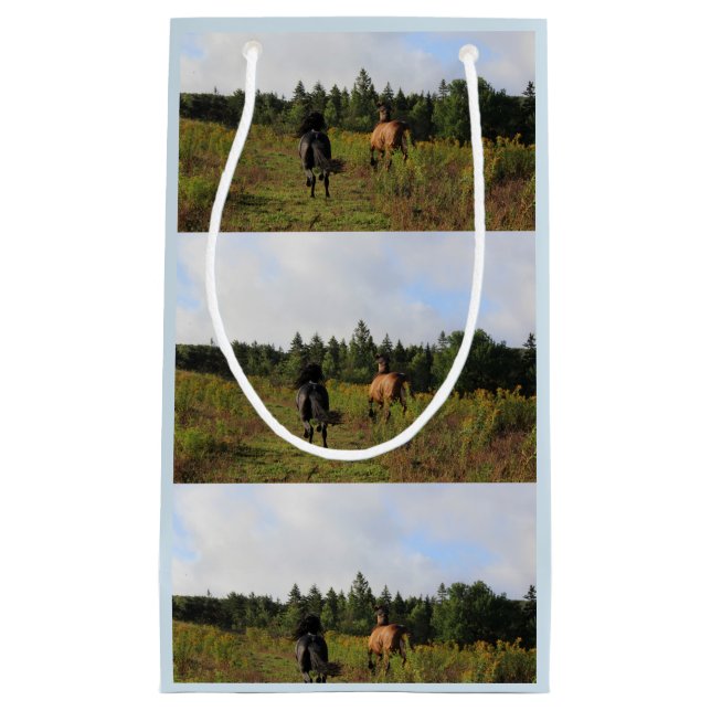 Petit Sac Cadeau Sauvage courant (Devant)