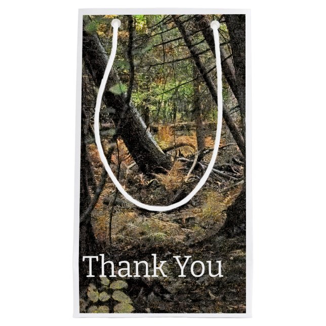 Petit Sac Cadeau Scène de forêt automnale             (Devant)