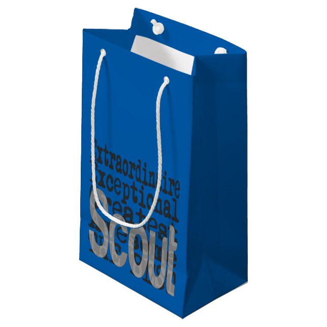 Petit Sac Cadeau Scout Extraordinaire (Devant Angle)