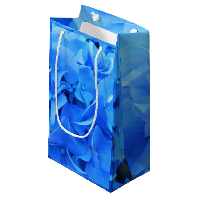 Petit Sac Cadeau Sérapine (Devant Angle)