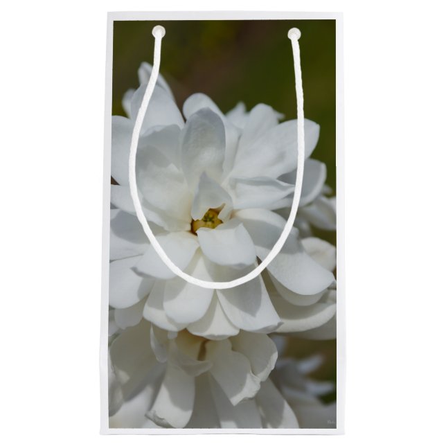 Petit Sac Cadeau Silky Magnolia (Devant)