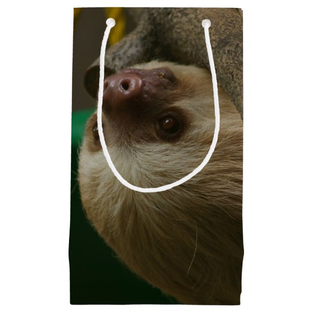 Petit Sac Cadeau Sloth (Devant)