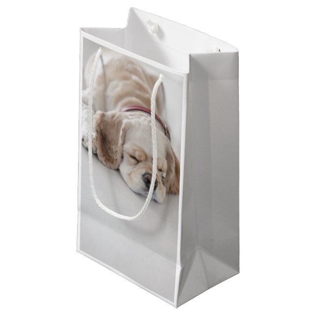 Petit Sac Cadeau Sommeil de chien de cocker (Devant Angle)