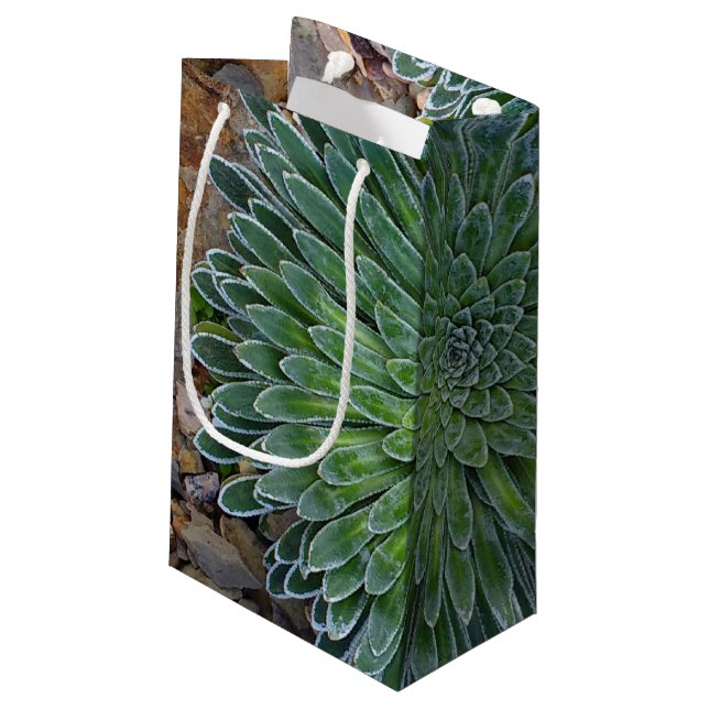 Petit Sac Cadeau Succulent plante du désert (Dos Angle)