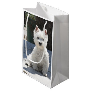 Petit Sac Cadeau Terrier des montagnes occidental blanc se reposant
