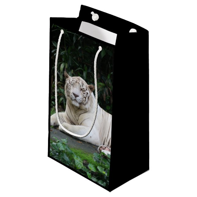 Petit Sac Cadeau Tigre noir et blanc du Bengale détendu et souriant (Devant Angle)