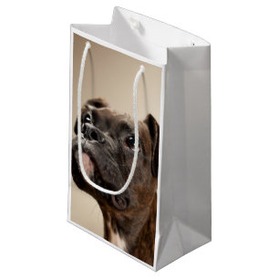 Petit Sac Cadeau Un chiot Brindle de boxeur recherchant