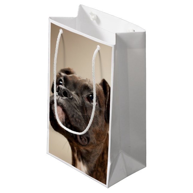 Petit Sac Cadeau Un chiot Brindle de boxeur recherchant (Devant Angle)