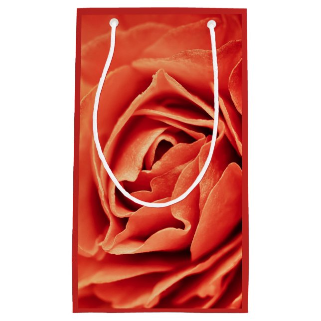Petit Sac Cadeau vivant rose (Devant)