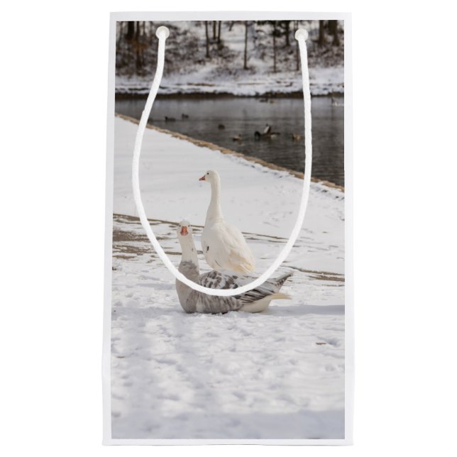 Petit Sac Cadeau Whats Up Goose (Devant)