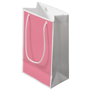 Petit sac de cadeau : Dos vert pomme d'avant de