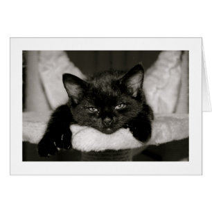 Petit somme avec moi