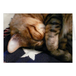 Petit somme patriotique