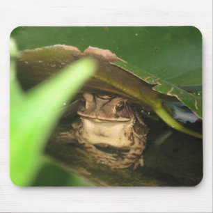 Petit tapis de souris de grenouille de crapaud