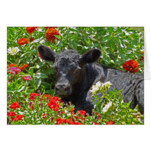 Petit veau dans les fleurs