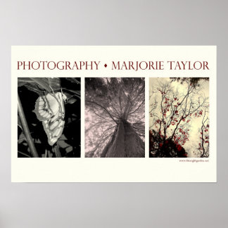 Petite affiche (22,5 x 15 po)