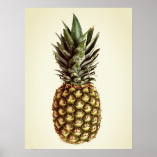 Petite affiche photo vintage pour ananas
