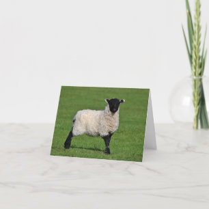 Petite Carte de remerciements personnalisée Sheep